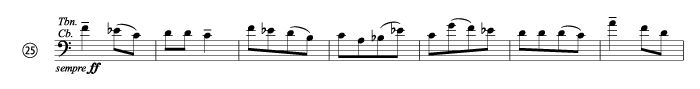 concerto for orch 25