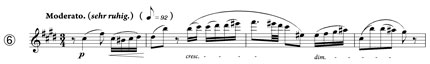 bruckner-7-fig6